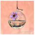 Підвісний скляний тераріум Красива креативна скляна ваза